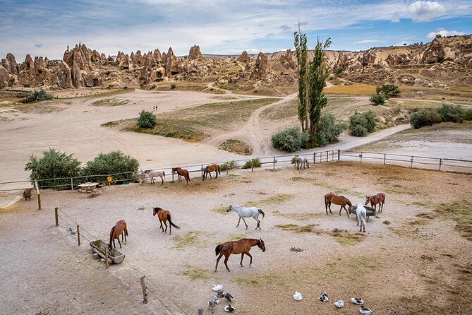 10-Days Istanbul, Ephesus, Pamukkale, Antalya & Cappadocia Tour - Ephesus and the Temple of Artemis, Roman scale with real drama