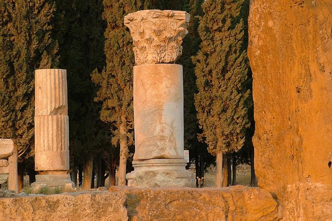 4 Day Turkey Tour: Cappadocia, Pamukkale, Ephesus by Bus - Day 6: wrapping up at Esenler Bus station