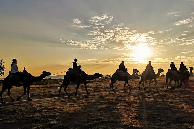 Camel Safari in Cappadocia - Your guide and the camel handling: what makes it feel smooth