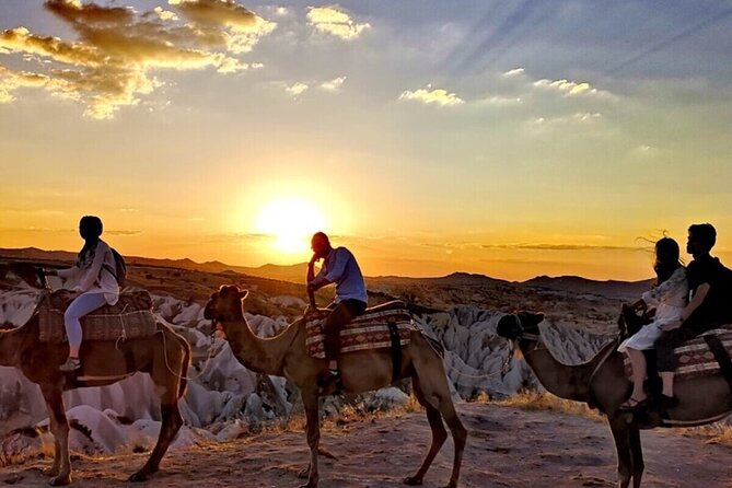 Camel Safari in Cappadocia - Group size, comfort, and who this tour fits best