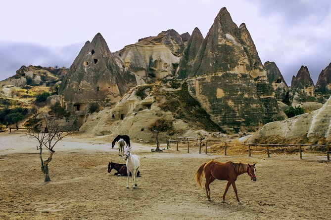 Cappadocia 2 Day Tour from Antalya - Price and value: is $144.83 a good deal?