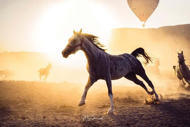 Cappadocia: Fascinating Horse Tour in Göreme Valleys - Horse Riding in Göreme Valleys, Fairy Chimneys and Big Sky Minutes