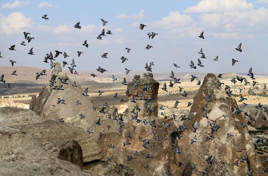 Cappadocia Green Tour (Includes lunch and museum tickets) - Onyx workshop plus included craft-shop time: what it is and what to expect