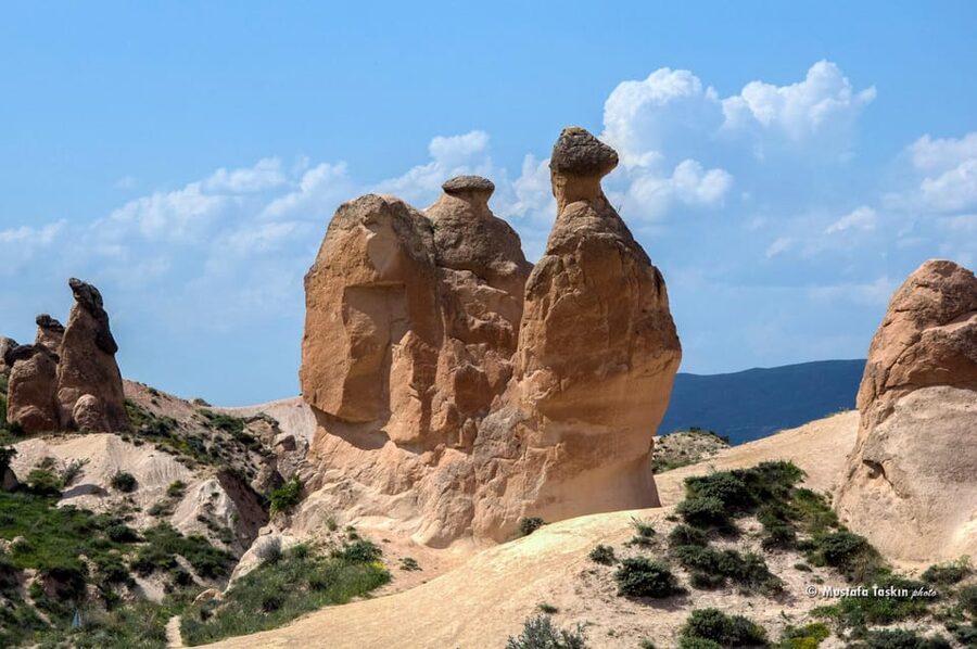 Cappadocia: Highlights Private Tour - Devrent Valley: Animal-Shaped Rocks From Erosion