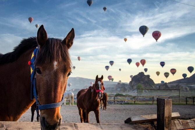 Cappadocia Horse Riding Experience Sunrise Sunset Daytime - Key highlights worth getting excited about