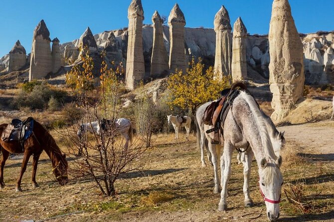 Cappadocia Horse Riding Experience Sunrise Sunset Daytime - Getting from your hotel to the ranch near Goreme Open Air Museum