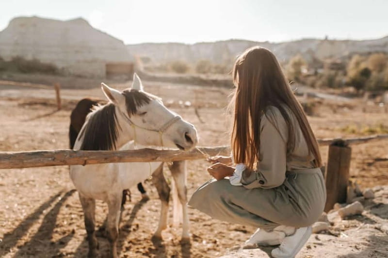 Cappadocia: Horse Riding Tour with Hotel Transfer - Why a 2-Hour Horse Ride in Cappadocia Feels Worth It