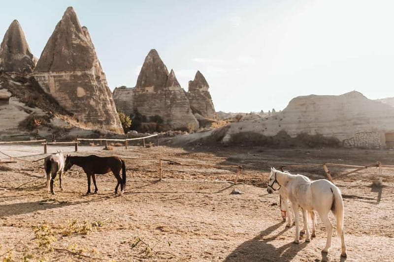Cappadocia: Horse Riding Tour with Hotel Transfer - Hotel Transfer From Ürgüp, Göreme, Uçhisar, and More