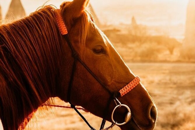 Cappadocia Horseback Riding Tour (Transfer Included) - Your route through Rose Valley, Red Valley, Cavusin, and Love Valley