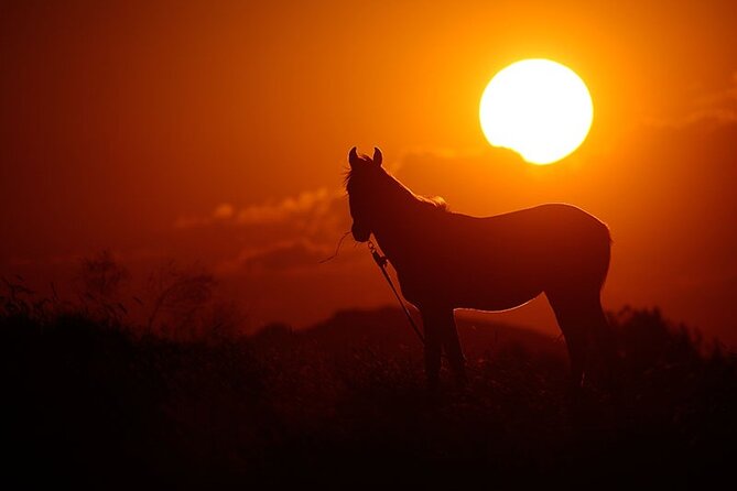 Cappadocia Horseback Riding Tour with Hotel Pickup & Helmet - Who should book this tour, and who might skip it?