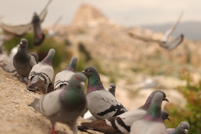 Cappadocia Private Guided Tour(Car&Licensed Guide) - Timing and Route Logic: Why This Order Works
