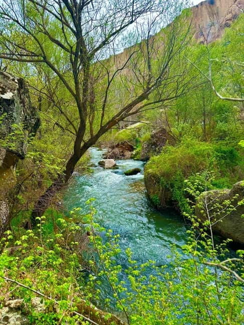 Cappadocia: Private or Shared Green Tour - Pigeon Valley and the Sweets Stop: Photos, Then Tea, Nuts, and Coffee Tasting