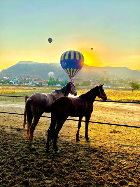 Cappadocia's Sunrise Horseback Riding - Rose Valley and Red Valley stops: what you’ll get from each