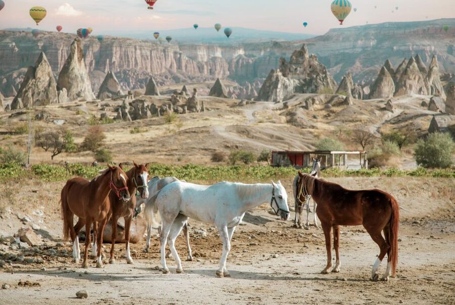 Cappadocia: Sunset Horseback-Riding Tour - What’s Included, What’s Not, and How to Plan Your Comfort