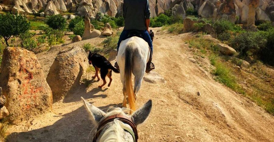 Cappadocia: Sunset Horseback Riding Tours w' Fairy Chimneys - How Long Should You Ride? Short, Standard, Long, Premium