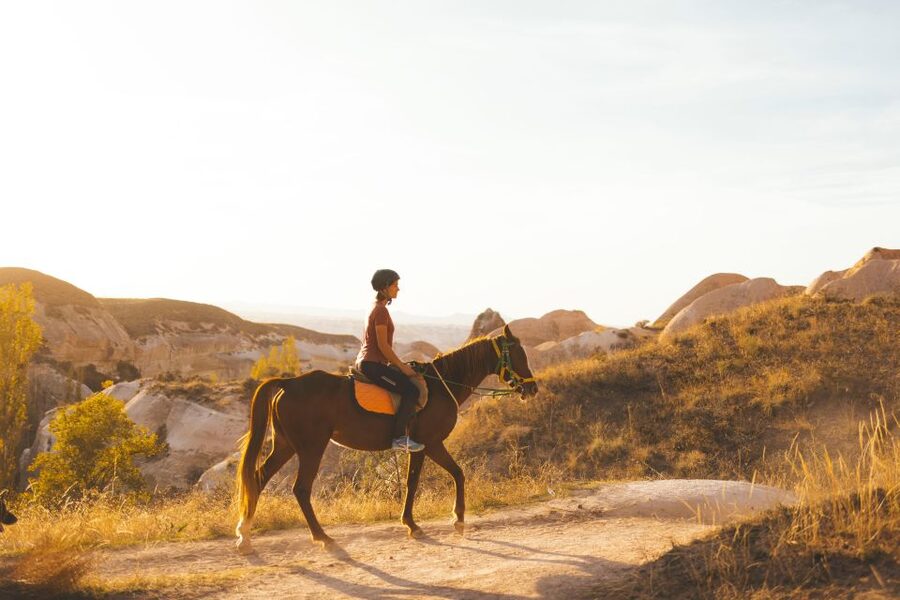 Cappadocia: Sunset or Daytime Horse Riding Tour - Horse Welfare, Safety, and Who Should Skip This Tour
