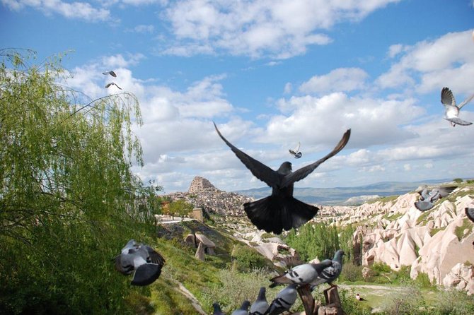 Cappadocia Tour - Goreme panorama: short, sweet, and useful