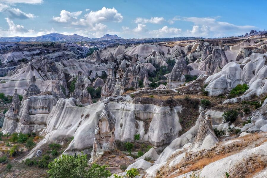 Cappadocia Tour With Lunch - Paşabağ (Monks Valley) and Devrent Valley: rock shapes that feel personal
