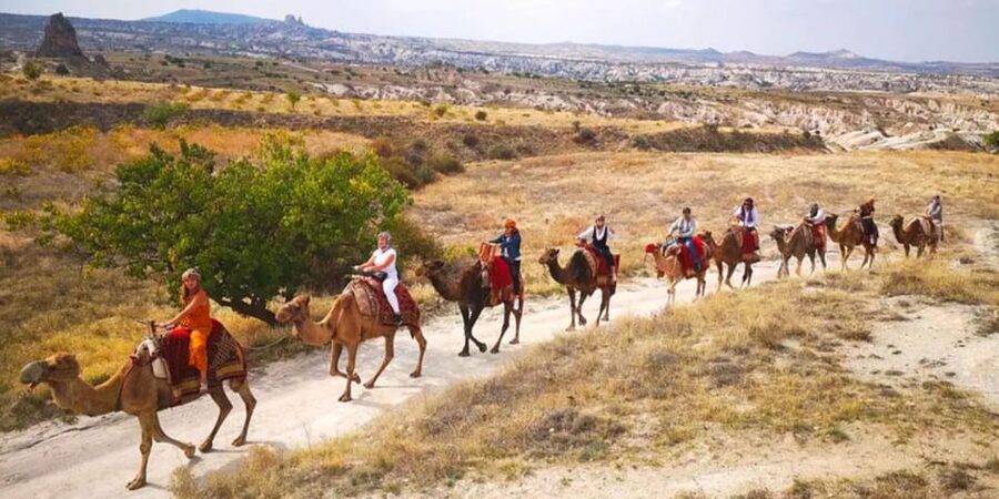 From Cappadocia: Sunrise or Sunset Camel Riding Day Trip - Who this tour fits best, and who should skip it