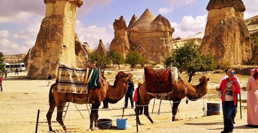From Cappadocia: Sunrise or Sunset Camel Riding Day Trip - Sunrise vs sunset: what changes and what stays the same