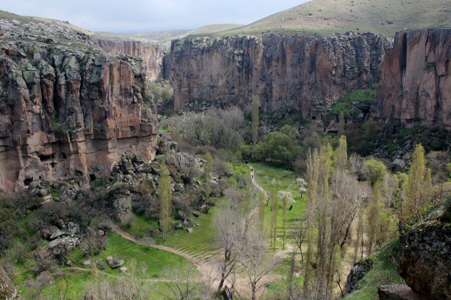From Istanbul: Cappadocia Highlights 2-Day Tour with Balloon - Price and value: is $886 per person fair?