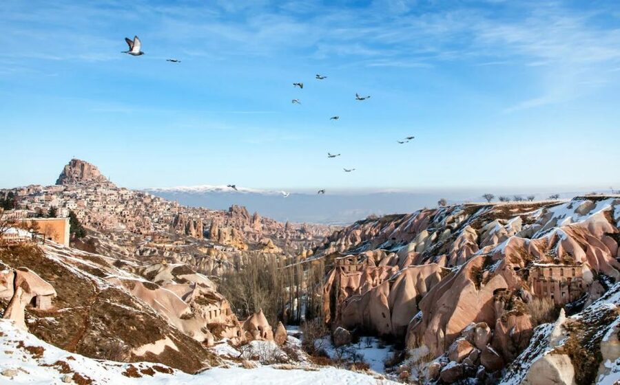 Full Day Cappadocia Red and Green Combined Day Tour + Lunch - Price and Logistics: Is $38 Good Value?