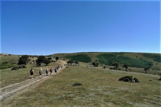 Full-Day Hiking at Cappadocia - Price and value: hotel pickup, guide, and a small group