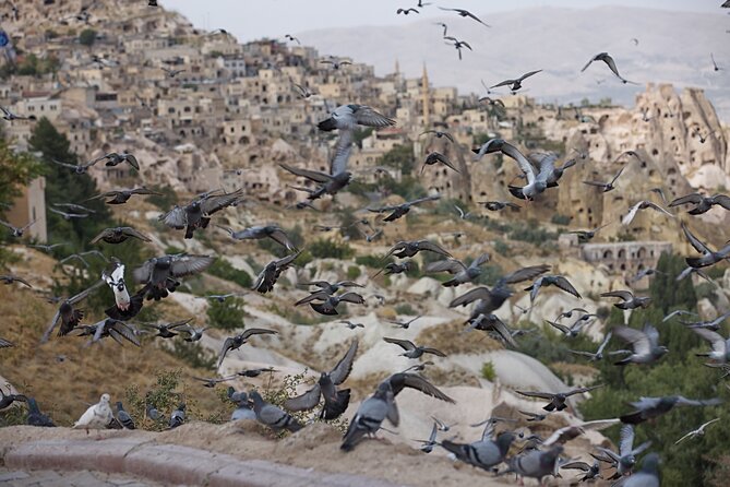 Full-Day Private Guided RED Tour of Cappadocia - Stop 5: Göreme National Park (Open-Air Museum) and the Dark or Buckle Church Frescoes