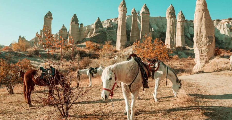 Istanbul to Cappadocia All Inclusive Private Day Tour - Landing in Cappadocia: airport to highlights in about an hour