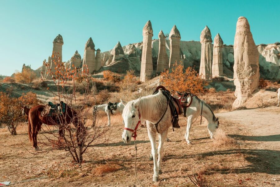 Istanbul to Cappadocia All Inclusive Private Day Tour - The early checkout, first flight, and why the timing feels tight but smart