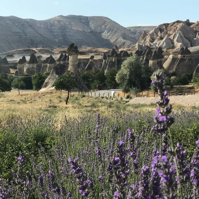 Mochiron Tour Full day Cappadocia With Japanese Guide - Price and Value: Is $118 Worth It?
