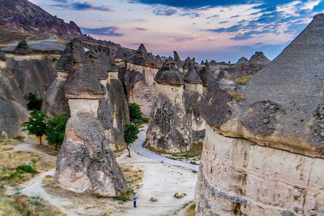 Private Cappadocia Boutique Tour with Personal Local Guide - Devrent Valley (Imaginary Valley), animal-shaped rock formations