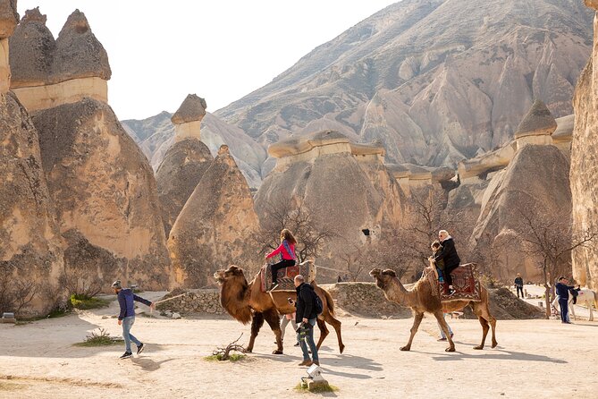 Private Day Trip to Cappadocia from Istanbul - Pasabag Monks Valley and the Fairy Chimneys: The Cappadocia Postcard Moment