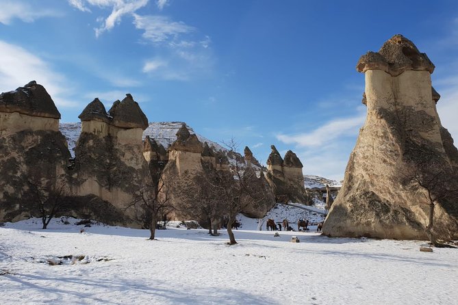 Private guide in Cappadocia, Turkey - Pasabag and chimney shapes: why this stop is worth the hype