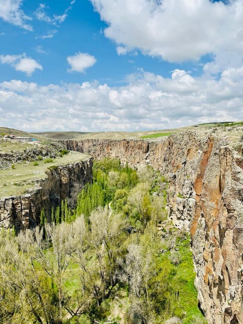 South of Cappadocia Tour-Green Tour - Should You Book the South of Cappadocia Green Tour?