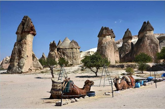 Treasures of Cappadocia Tour + Underground City - Devrent Valley: Imagination Valley at Close Range